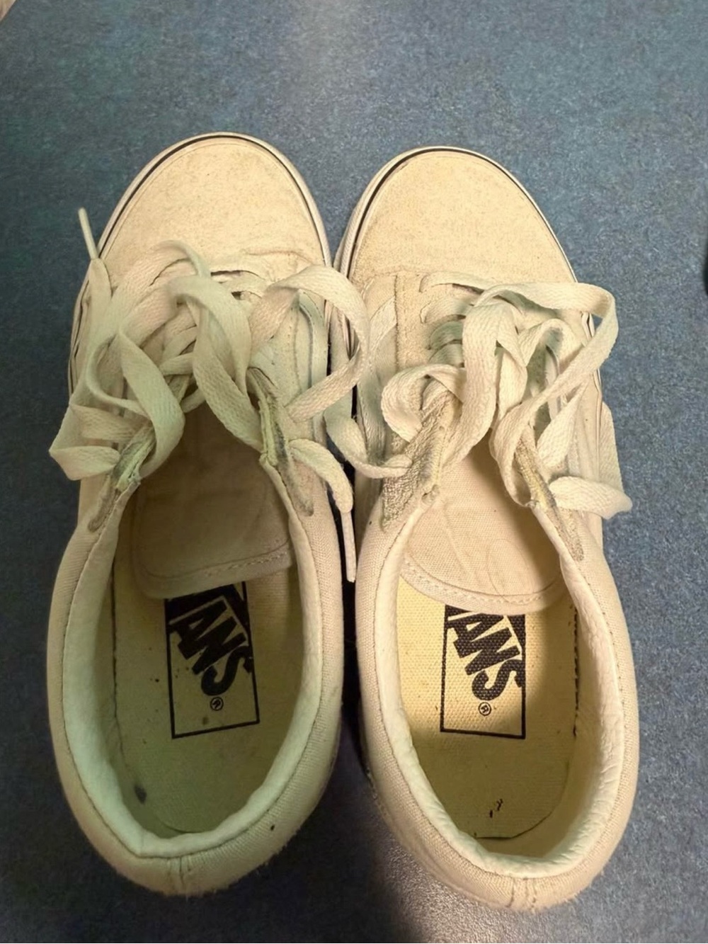 Vans Beige Low-Top Canvas Sneakers